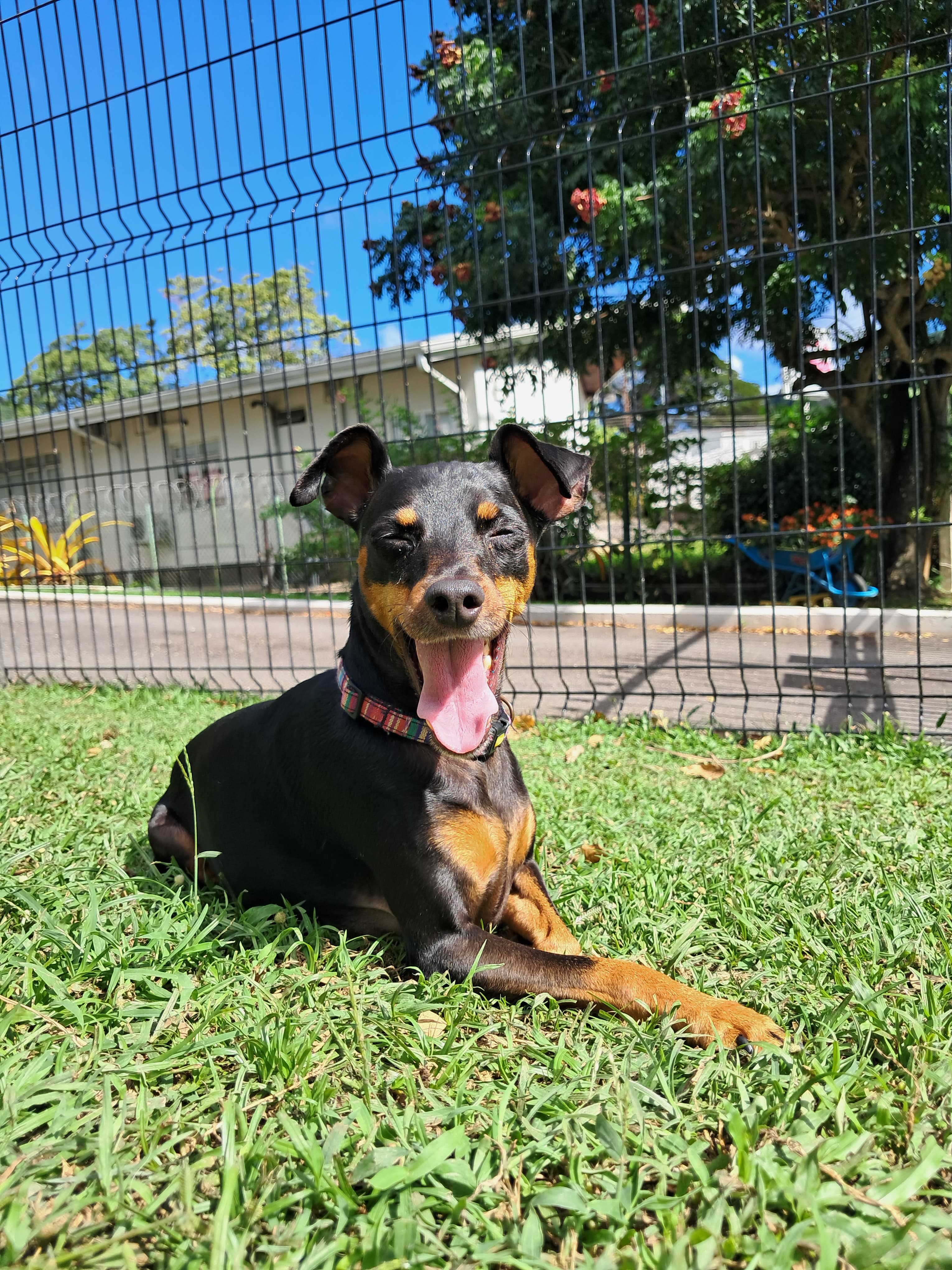 The Curious Case of Allyship, Facial Expressions, and Weekend Fatigue ...